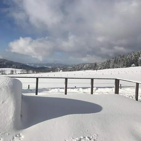 Holiday home Pasecna - Lipno *