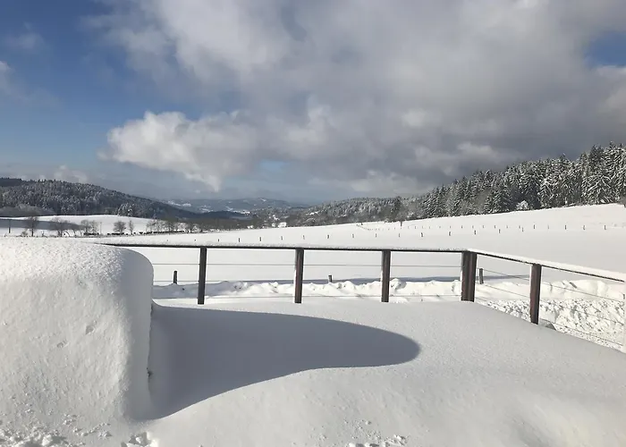 Semesterbostad Pasecna - Lipno *